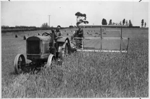 Tractor with reaper binder, harvesting wheat on a Canterbury farm - Photograph taken by Green and Hahn