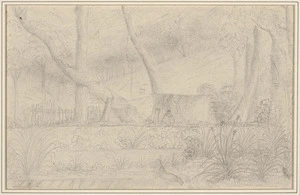 [Marshall, Mary Frederica (Swainson)] 1826-1854 Attributed works :Hawkstead / [Mary Swainson]. - [1840s?].