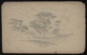 [Gully, John], 1819-1888 :Birch at outlet [1860-1880s].
