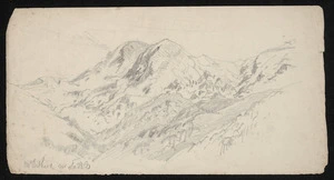 [Gully, John], 1819-1888 :Mt Arthur near saddle [1860-1880s].