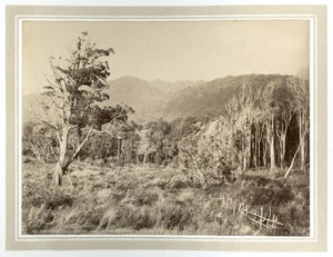 View of Waikanae hills from the Wellington and Manawatu Railway