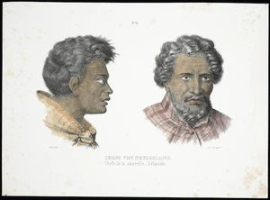 Sainson, Louis Auguste de, b 1801 (after) :Chefs von Neuseeland; chefs de la Nouvelle-Zelande. No. 29. Fuchs del.; Lith v. Honegger [Zurich, Honegger, 1840?]