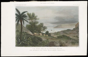 Nyon, Eugene, fl 1834-1848 :Vue d'une anse de la Nouvelle Zelande aux environs du canal de la Reine Charlotte. Nyon sculp. Paris, [1841]