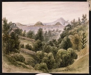 Artist unknown :[Rangitoto and North Head from Grafton Gully. 1880s?]