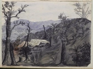 Templer, Cherie, 1856-1915. Attributed works :[Camp in the Waitakere Ranges. 1880s?]