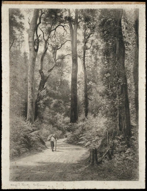 Sandys, Edward Roper Stapleton, b 1845 :Hongi's Track, Rotorua, New Zealand [ca 1911-1915]