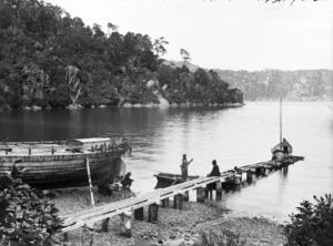 Jetty at Waihinau Bay, Pelorus Sound, Marlborough Sounds