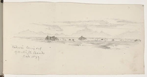 Gully, John, 1819-1888 :Kaikora's coming out of Wellington Heads, Oct 1879