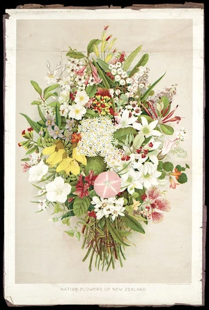 Brett Printing and Publishing Company Ltd :Native flowers of New Zealand. Supplement to the 'New Zealand farmer', Jan. 1, 1923. Litho by the Brett Printing Co. Ltd, Auckland.
