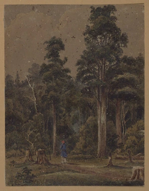 [Smith, William Mein] 1799-1869 :[Bush, possibly in the Wairarapa. 1860s?]