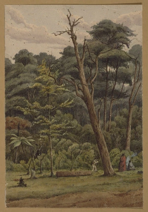 [Smith, William Mein] 1799-1869 :[Bush, possibly in the Wairarapa. 1850s?]