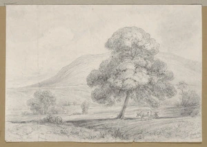 Swainson, William, 1789-1855 :River Derwent Tasmania [February 1854?]