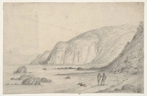 Swainson, William, 1789-1855 :So[uth] Eastern Bay. Road to Wellington. N. Zd. 1846.