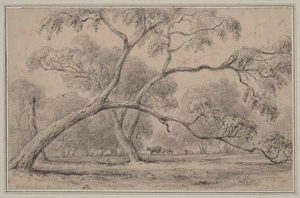 [Swainson, William] 1789-1855 :Mr Bielby's Range 8 Mar [18]53.
