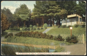 [Postcard]. F.T. series, no 2251 A. Newtown Park, Wellington, N.Z. [1908]