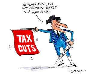 TAX CUTS. "Ideology aside, I'm not entirely averse to a red flag..." 15% GST. 15 February 2010