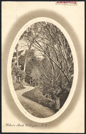 Postcard. Wilton's Bush, Wellington, N.Z. New Zealand post card (carte postale). F.T. series no. 101. Printed in Saxony. [ca 1910]