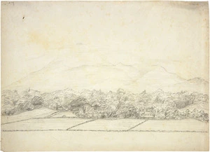 Hetley, Georgina Burne 1832?-1898 :Fernlea & Omata village before the war [ca 1855]