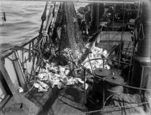 Cod end emptying on deck