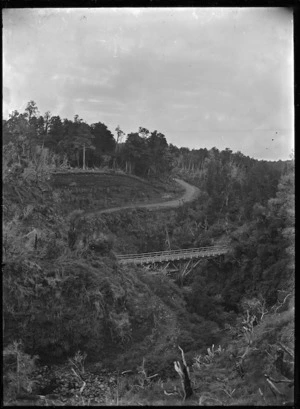 View of the Old Coach Road in bush country, taken from the Manganuiateao Viaduct, with a road bridge across the river