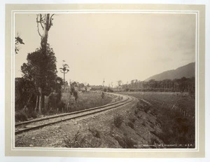 Wellington and Manawatu Railway line at Waikanae