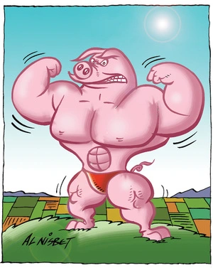 [Bodybuilding pig]. 7 May 2010