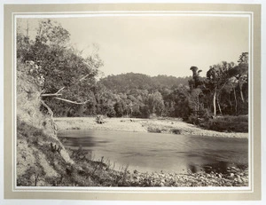 View of Waikanae river