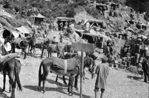 Dugouts of the Indian Mule Transport Coy, Gallipoli, Turkey