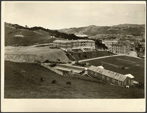 View of Wellington College from Mount Alfred, Wellington City, New Zealand