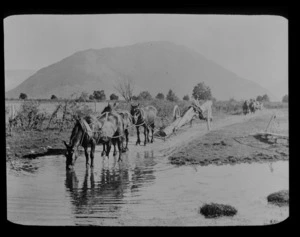 Work horses pulling log on a cart, unidentified location