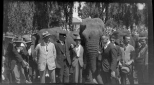 A group of unidentified men standing with elephants in front of a large crowd, [Christchurch City?]