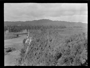 View of the Whanganui River with a rugby field on a bank above and forest beyond, Kakahi District, Manawatu-Whanganui Region