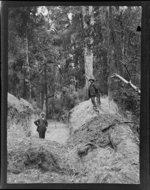 Tree felling, two unidentified men with a newly dug pit within an unknown forest location, Kakahi District, Manawatu-Whanganui Region