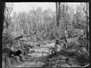 An unidentified man standing on one of two logging railway tracks within an unknown forest, Kakahi District, Manawatu-Whanganui Region