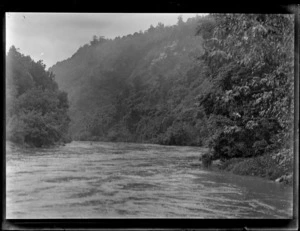 View off a boat on the Whanganui River with steep forest covered river banks
