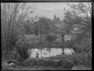 Scene at Te Aroha Domain, Waikato District, with [pond?/thermal pool?]