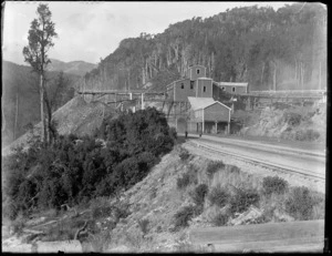 Building and coal bins over railway line, Dunollie, West Coast