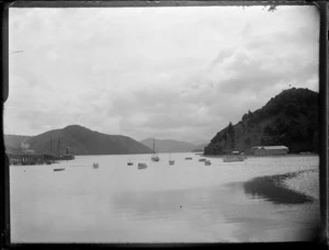 Boats in harbour including wharf, [Marlborough Sounds]