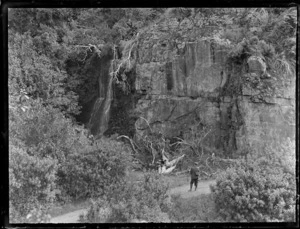 Unidentified man looking up at cliff and bush area, Catlins District