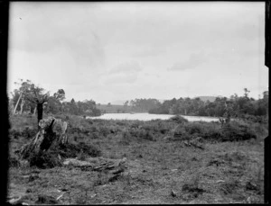 View of stretch of water surrounded by trees and bracken, Catlins District