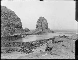 Steep rock and shoreline, [Nugget Point], Catlins District