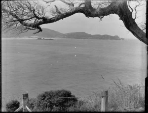 Coastal scene, Catlins District