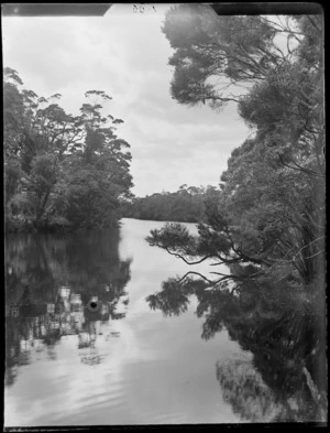 Tranquil river or lake surrounded by trees, Catlins District