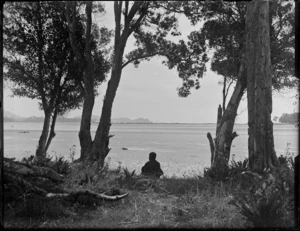Scene looking out towards a bay, Catlins District, including unidentified boy