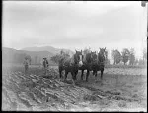 Unidentified farmers, ploughing field with horses, probably Silverstream or Kowhai Bush, Otago region, South Island