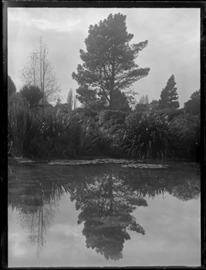 Pond area, including flax bushes, native trees, Christchurch garden and domain