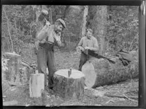 Unidentified men, cutting tree, unidentified location