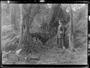 View of Lydia Williams in an unknown forest near the settlement of Kakahi, Manawatu-Whanganui Region