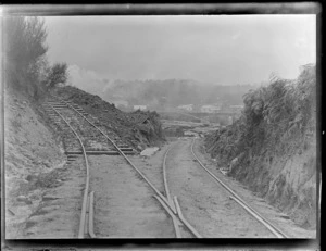 Railway lines which feed Kakahi Sawmill with logs, stacked logs ready for milling, a rail carriage with cut lumber and the settlement of Kakahi beyond, Manawatu- Whanganui Region