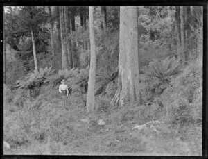 Lydia Williams standing in front of ferns and tall trees near the settlement of Kakahi, Manawatu-Whanganui Region